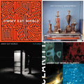 Surviving (140G/Gatefold Jacket/Dl Insert) & Bleed American & Futures & Clarity