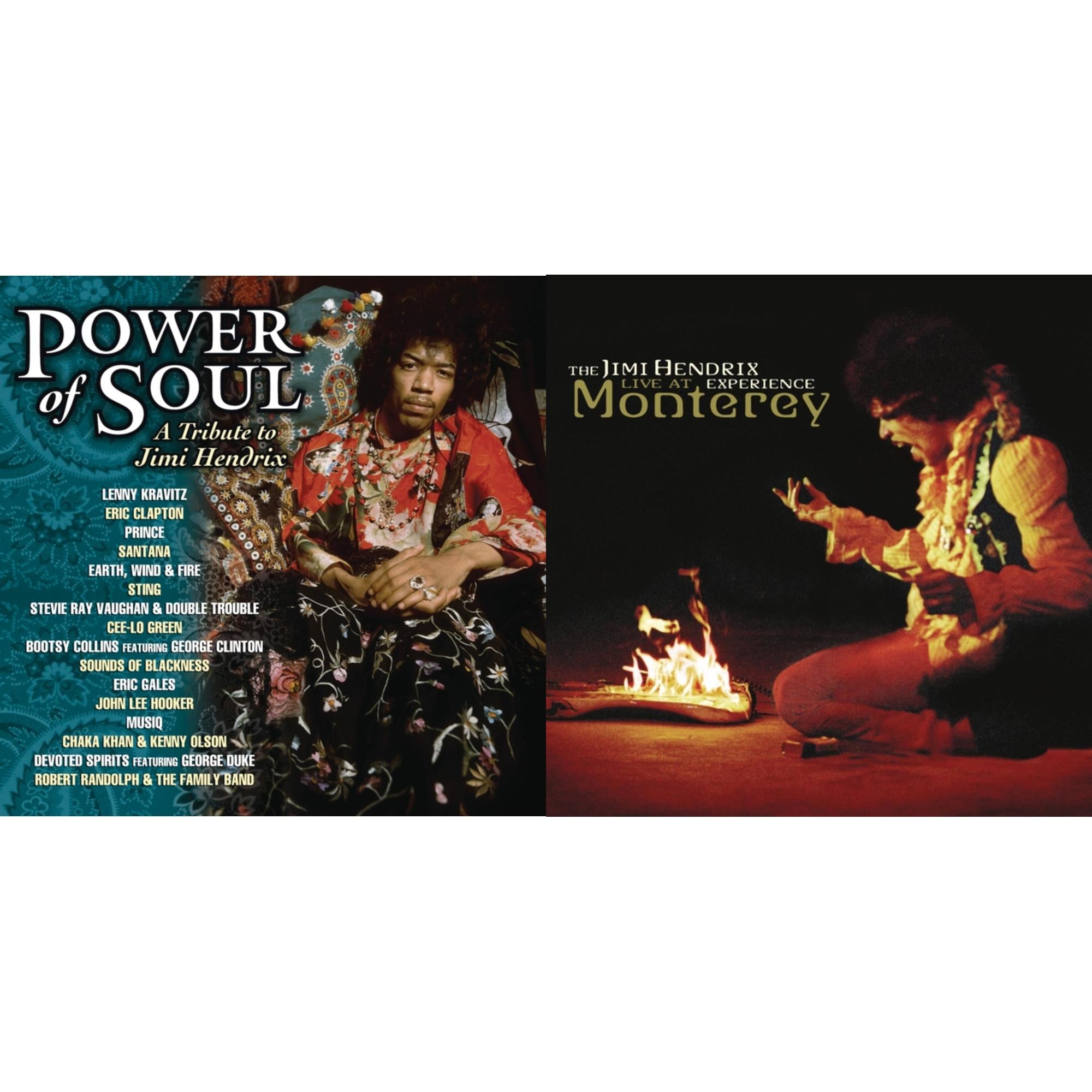 Power Of Soul: Tribute To Jimi Hendrix & Live At Monterey