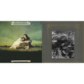 John & Beverley Martyn - Stormbringer! & Road To Ruin - LP Vinyl Bundle