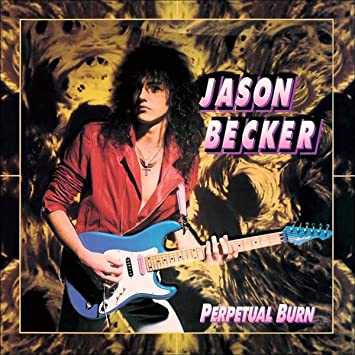 Perpetual Burn (Black Vinyl) Vinyl Record