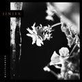 Wallflowers [Vinyl]