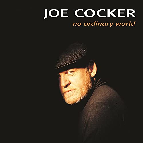 No Ordinary World [2 LP] Vinyl Record