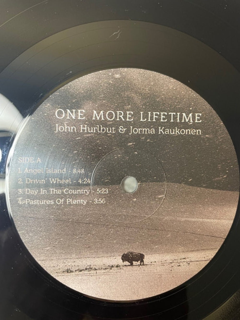 Jorma Kaukonen  / John Hurlbut – One More Lifetime (LP Vinyl) Vinyl Record