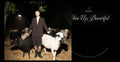 Jutes – Chin Up Beautiful (Digipak CD) Music CD