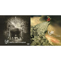Korn - Take A Look In The Mirror (2 LP) (140G) & Follow The Leader (Pa) (2 LP/140G)