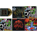 King Gizzard & The Lizard Wizard - Live In Brussels '19 (Fuzz Club Official Bootleg) & Live In Paris '19 (Fuzz Club Official Bootleg) & Live In Brussels '19 (140G/3LP) & Murder Of The Universe (Transparent Green W/Mustard Yelow Splatter LP Vinyl) &