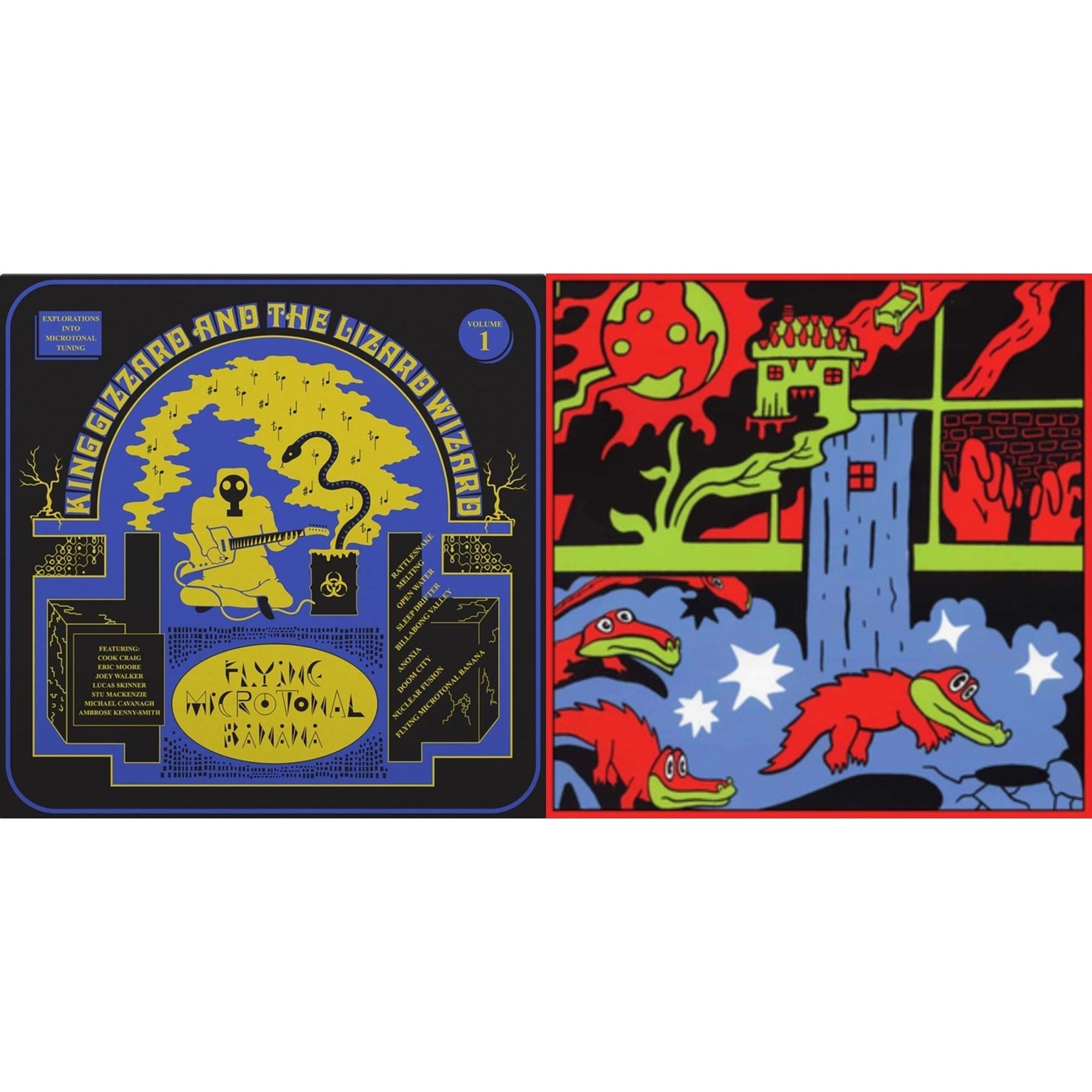 Live In Paris '19 (Fuzz Club Official Bootleg) & Flying Microtonal Banana (Randomly Colored Recycled LP Vinyl)