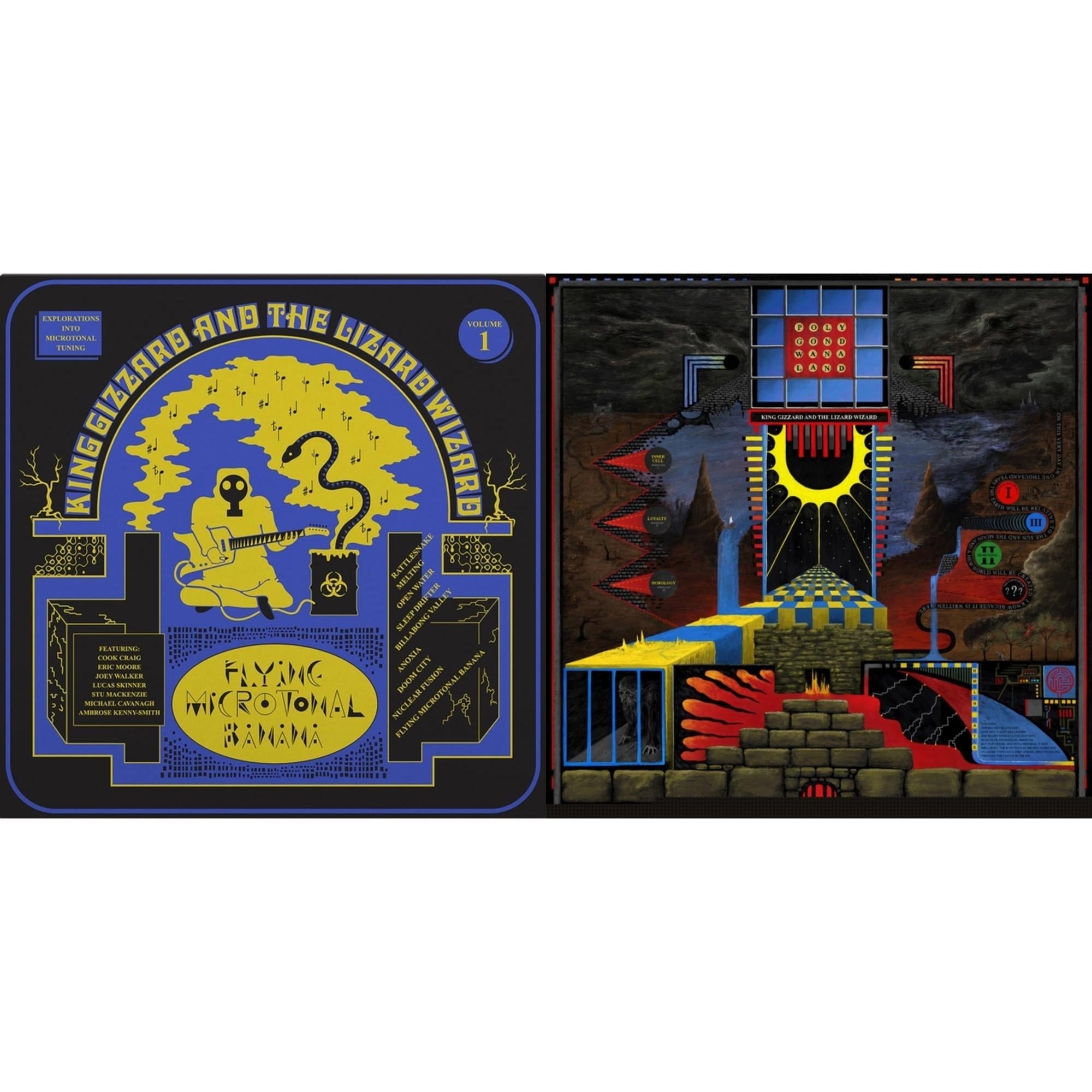 Polygondwanaland & Flying Microtonal Banana (Randomly Colored Recycled LP Vinyl)