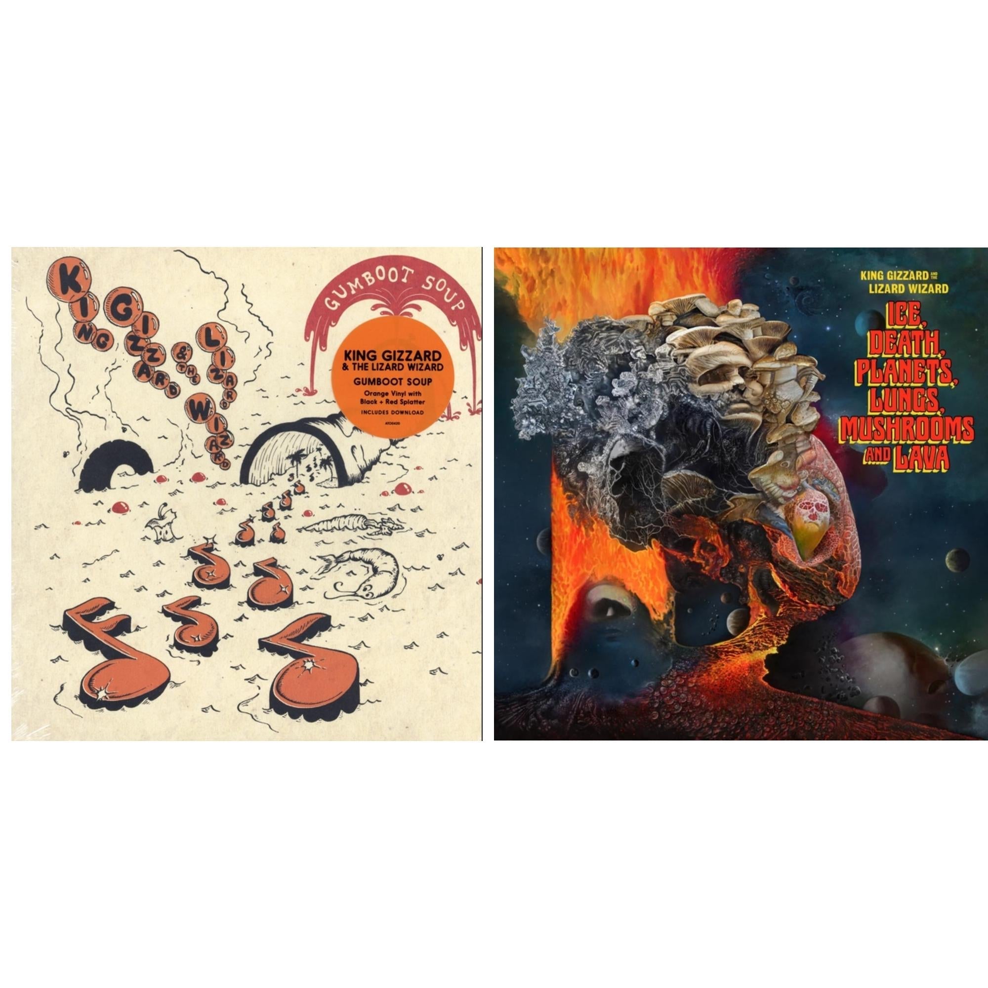 Ice, Death, Planets, Lungs, Mushrooms & Lava (2LP/Recycled Black Wax Vinyl) & Gumboot Soup