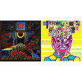 King Gizzard & The Lizard Wizard - Teenage Gizzard (Fuzz Club Official Bootleg) (Deluxe Edition) & Polygondwanaland - LP Vinyl Bundle