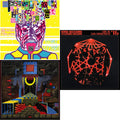 Teenage Gizzard (Fuzz Club Official Bootleg) (Deluxe Edition) & Polygondwanaland & Live In San Francisco '16 (Deluxe/2LP/Fog/Sunburst Vinyl)