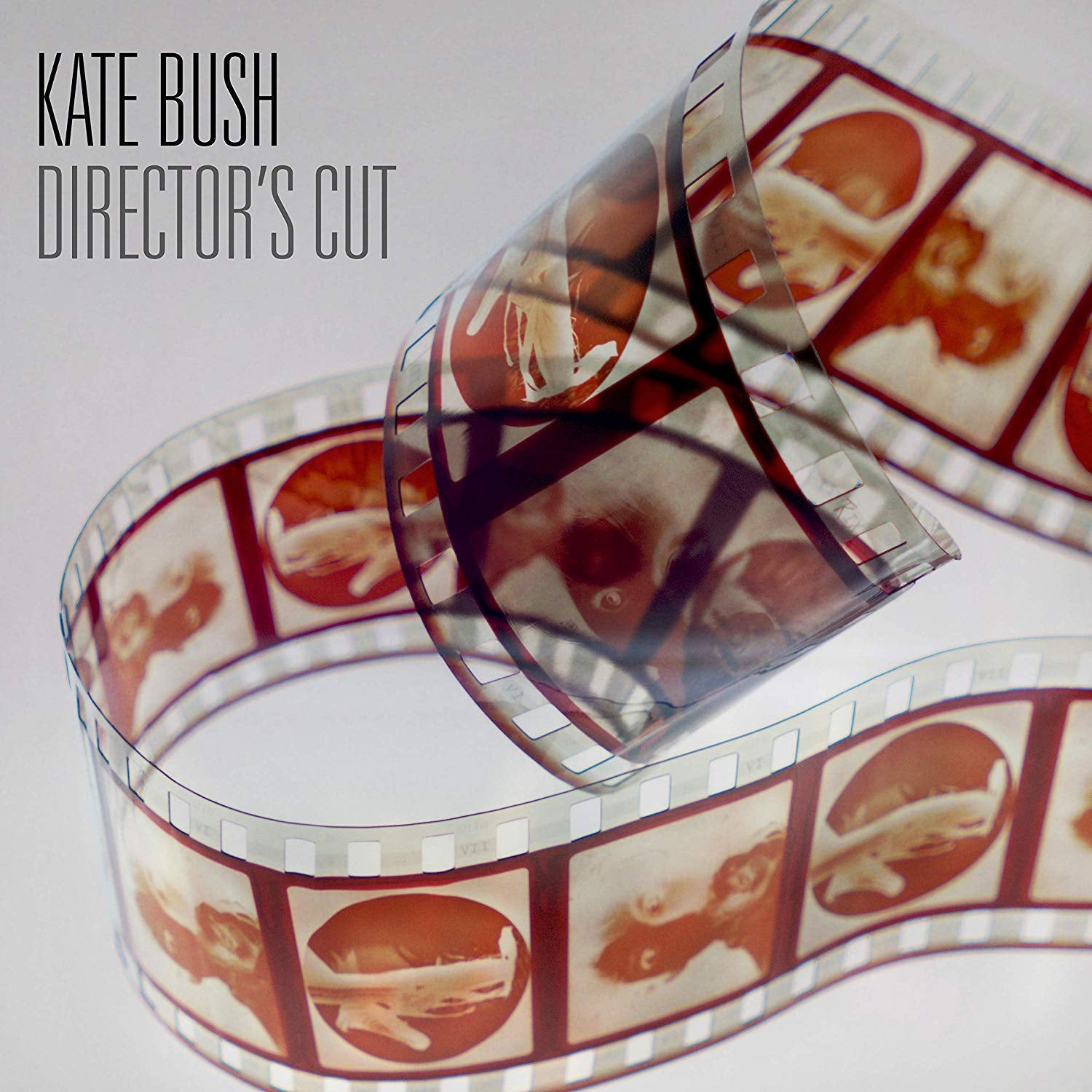 Kate Bush Director's Cut (2018 Remaster) Vinyl Record