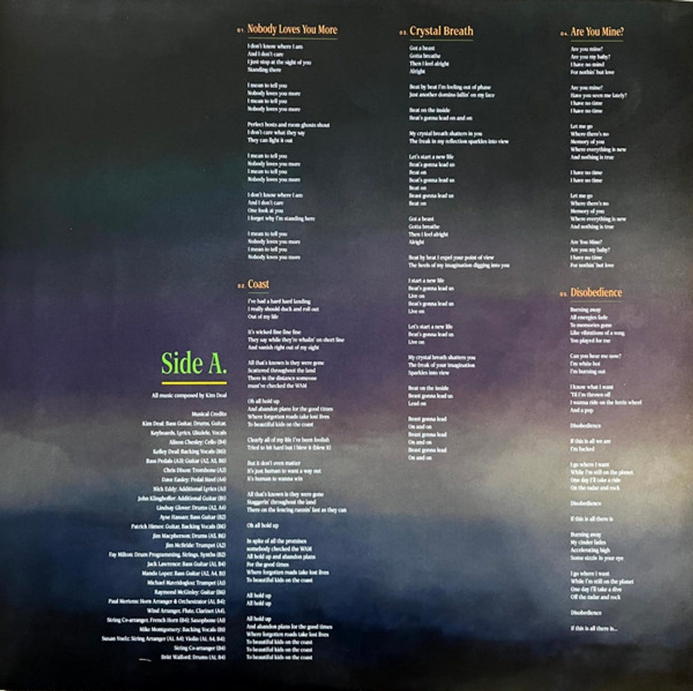 Kim Deal – Nobody Loves You More (LP Vinyl) Vinyl Record