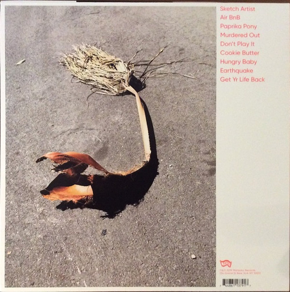 Kim Gordon – No Home Record (LP Vinyl) Vinyl Record