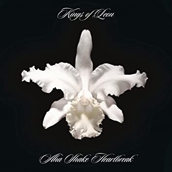 Kings of Leon Aha Shake Heartbreak(180-gram) [Import] (2 Lp's) Vinyl Record