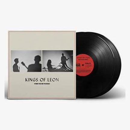 When You See Yourself (2LP | Black Vinyl) Vinyl Record