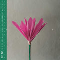 Kiri Ra – Nen (LP Vinyl) Vinyl Record