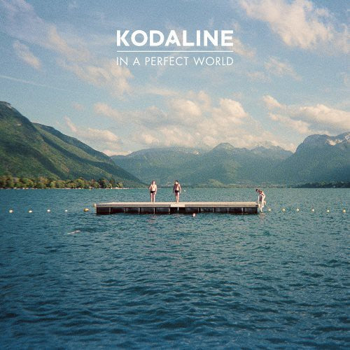 In a Perfect World Vinyl Record