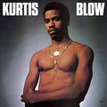 Kurtis Blow (Vinyl) Vinyl Record