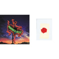 Mama's Boy (2LP/Crystal Clear Vinyl) & Lany