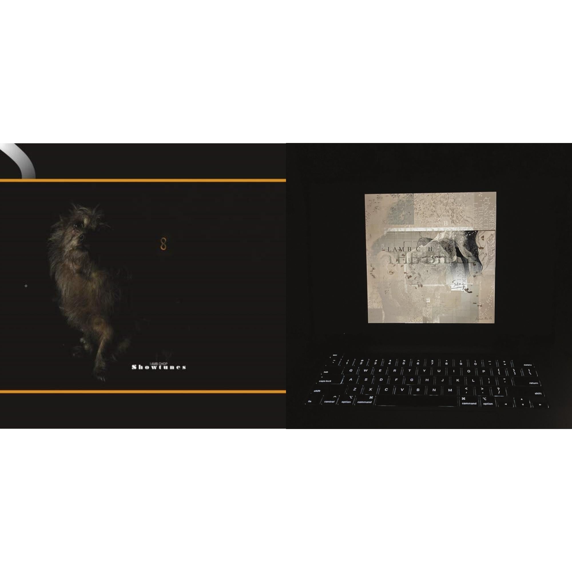 Showtunes & Bible (2LP/D-Side Etching)