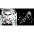 Born This Way - The Tenth Anniversary (3LP) & Born This Way