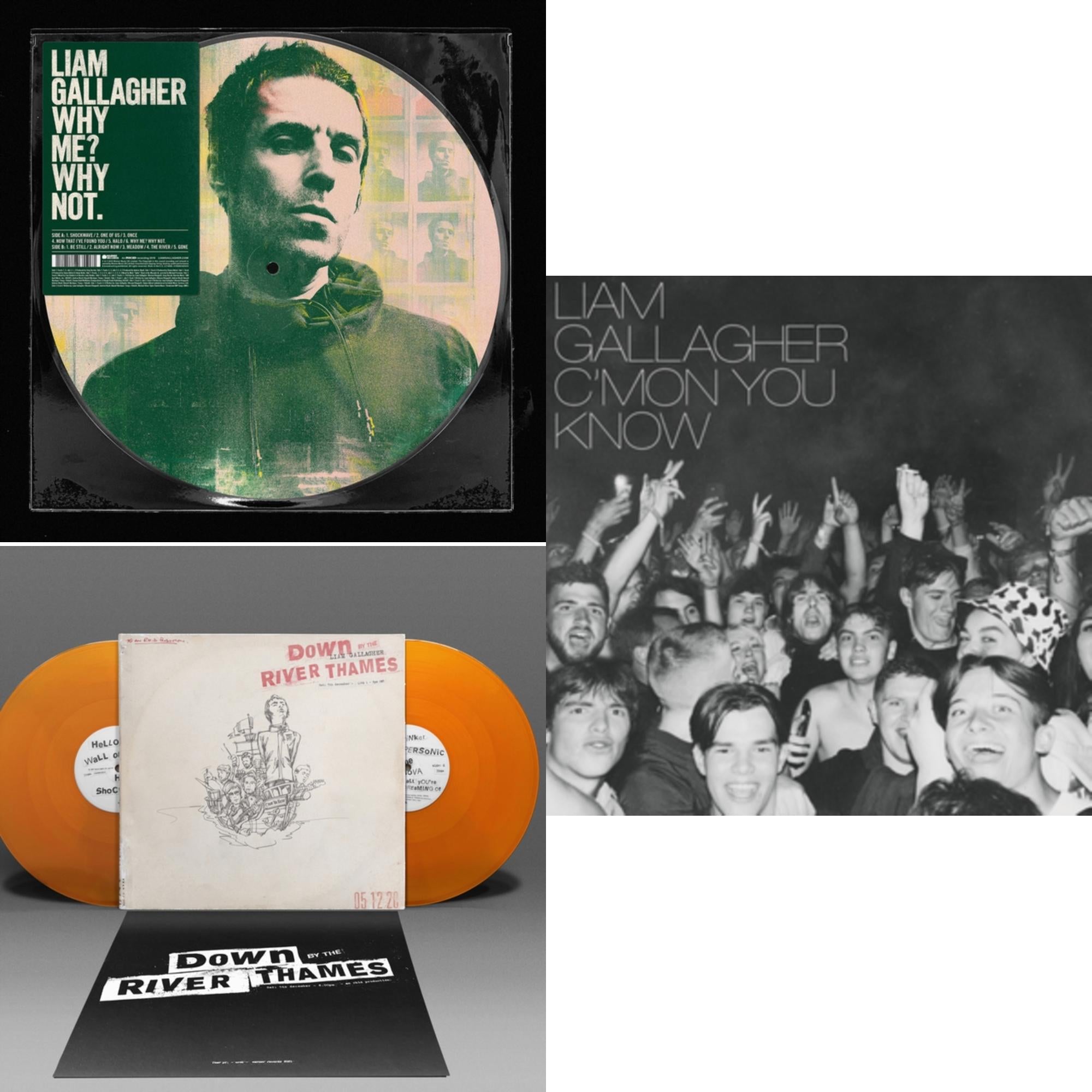 Liam Gallagher - Why Me? Why Not (Picutre Disc) & C'mon You Know & Down By The River Thames (2LP/Orange Vinyl)