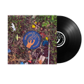 Good Luck With Whatever - Black Vinyl Record
