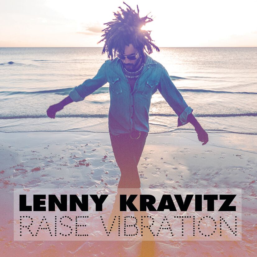 Raise Vibration Vinyl Record