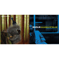 Madlib - Shades Of Blue (Blue Note Classic Vinyl Series) (2LP) & Low Budget High Fi Music (Color LP Vinyl)