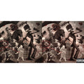 Black Parade (X) (Picture Disc) & Black Parade (X) (2LP)