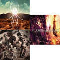 Black Parade (X) (Picture Disc) & I Brought You My Bullets You Brought Me Your Love & Danger Days: True Lives Of The Fabulous Killjoys