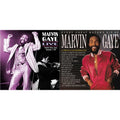 Every Great Motown Hit Of Marvin Gaye: 15 Spectacular Performances & Live: Budokan Tokyo, Japan, November 1, 1979 (2LP)