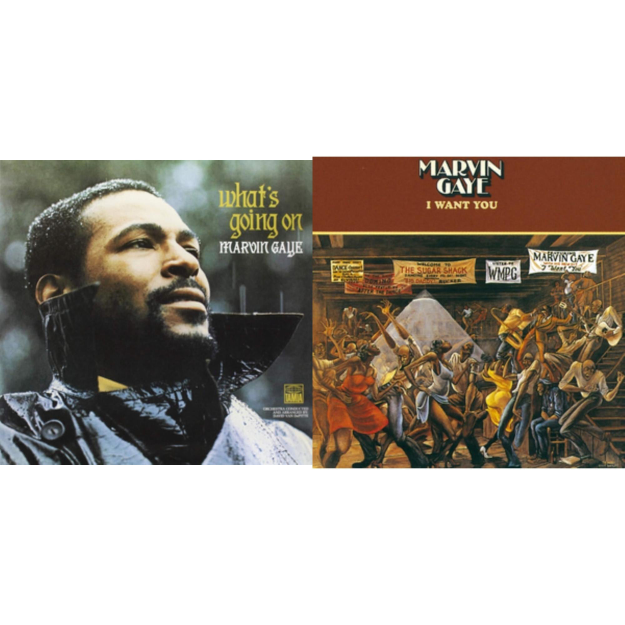 Marvin Gaye - I Want You & What's Going On - LP Vinyl Bundle