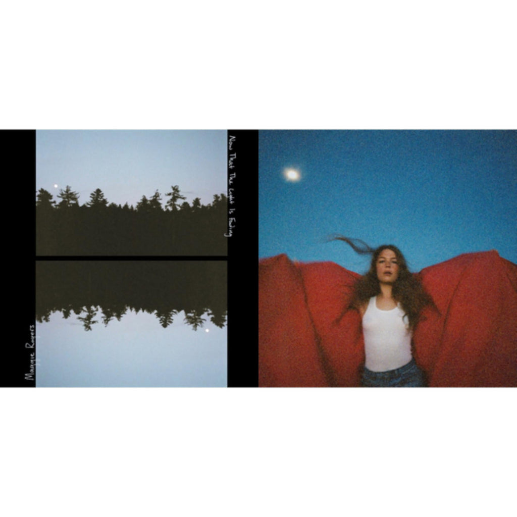 Heard It In A Past Life & Notes From The Archive: Recordings 2011-2016 (2LP/Marigold Vinyl)