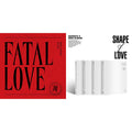 Fatal Love: Vol. 3 & Shape Of Love