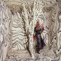 Revealer [LP] Vinyl Record