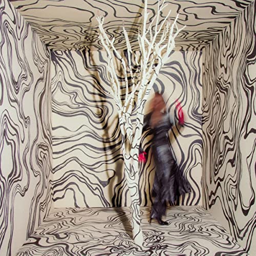Revealer [LP] Vinyl Record