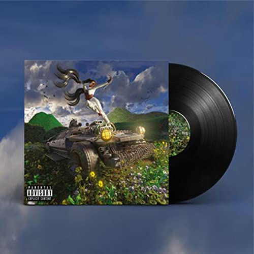 Last Year Was Weird, Vol. 3 Vinyl Record