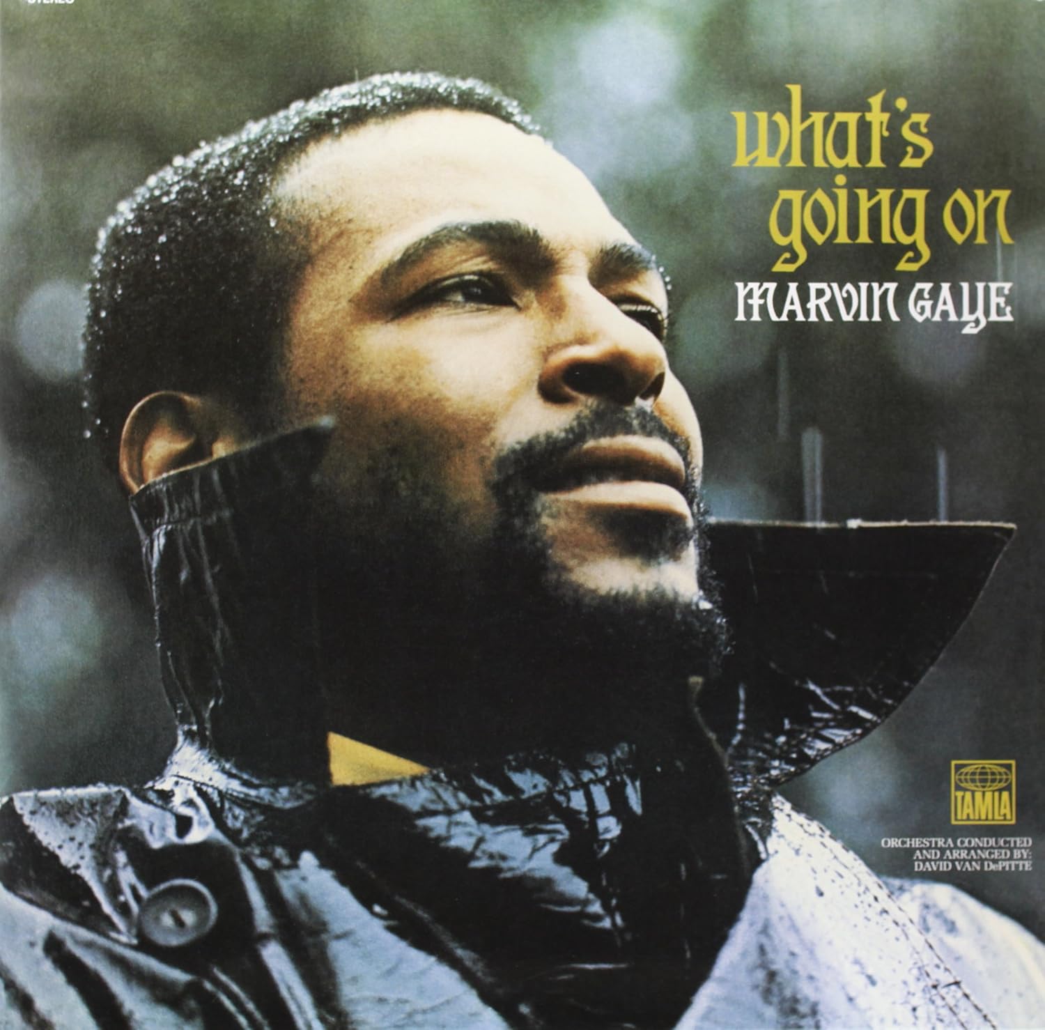 Marvin Gaye What's Going On Vinyl Record
