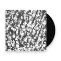 Michael Nau – Popfly (LP Vinyl) Vinyl Record