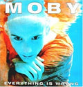 Everything Is Wrong [Import] Vinyl Record