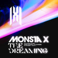 The Dreaming Vinyl Record