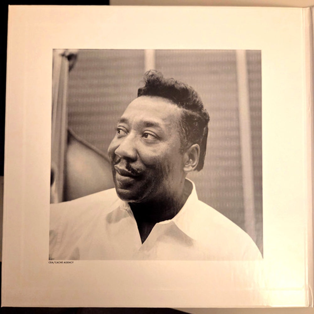 Muddy Waters – Folk Singer (LP Vinyl) Vinyl Record