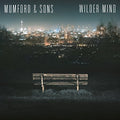 WILDER MIND Vinyl Record