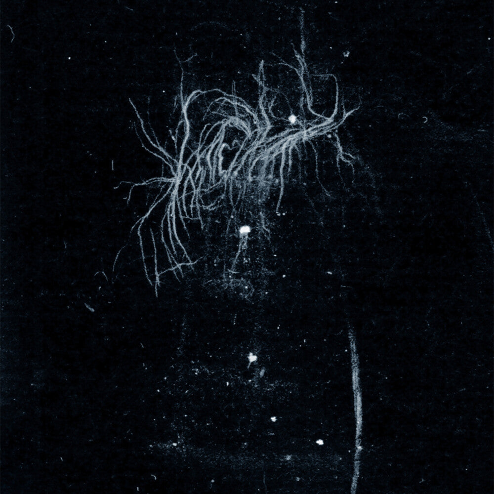 My Heart, An Inverted Flame – My Death Is More Beautiful Than Your Life Music CD