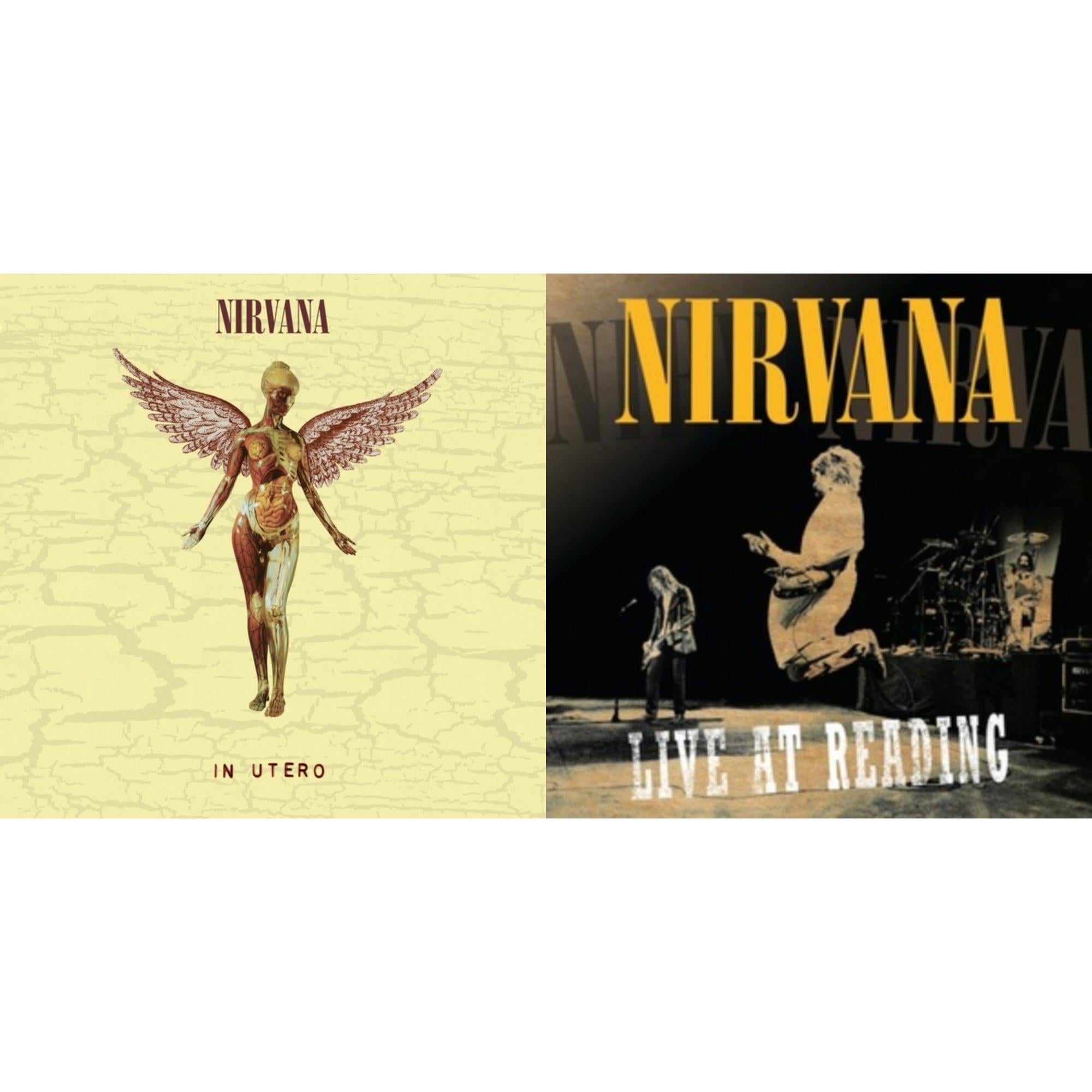 Nirvana - In Utero (30Th Anniversary) (LP/10 Inch) & Live At Reading