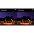 Live In The Mojave Desert: Volume 2 & Live In The Mojave Desert: Volume 2 (Coloured LP Vinyl)