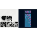 Nine Inch Nails - Pretty Hate Machine & Bad Witch (LP)