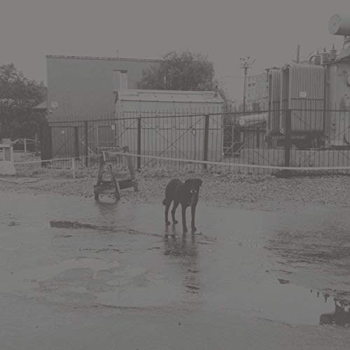 After its own death / Walking in a spiral towards the house (Vinyl) Vinyl Record
